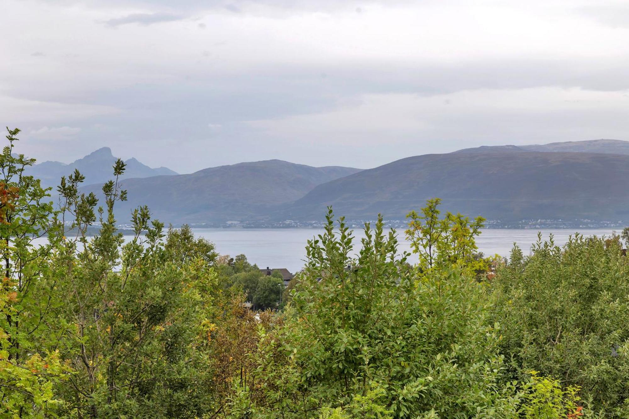 Nansen - New Exclusive Villa, Multiple Units Apartamento